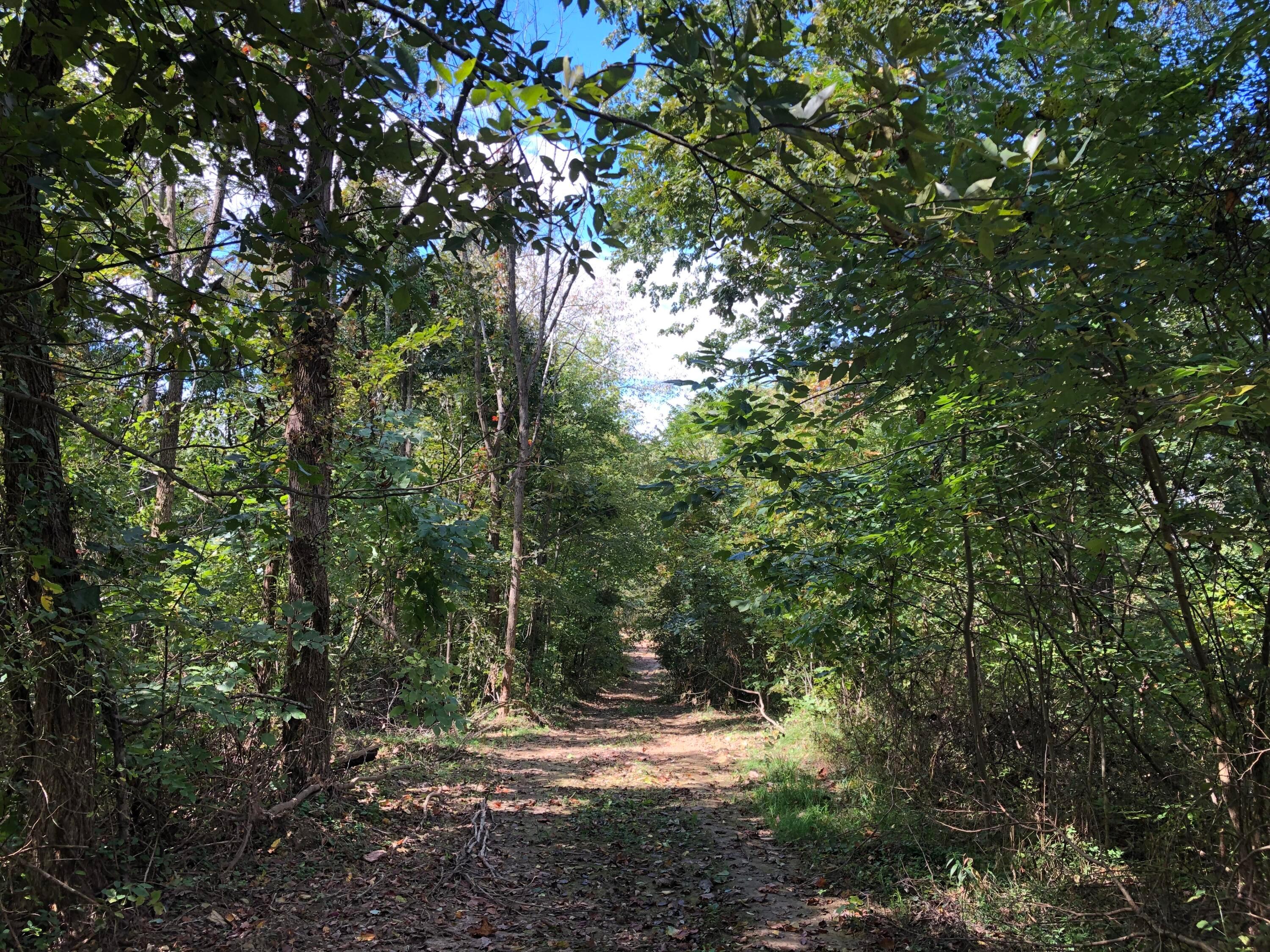 0 County Road 90 Road Crooksville, OH 43731 - Photo 27 of 39 024