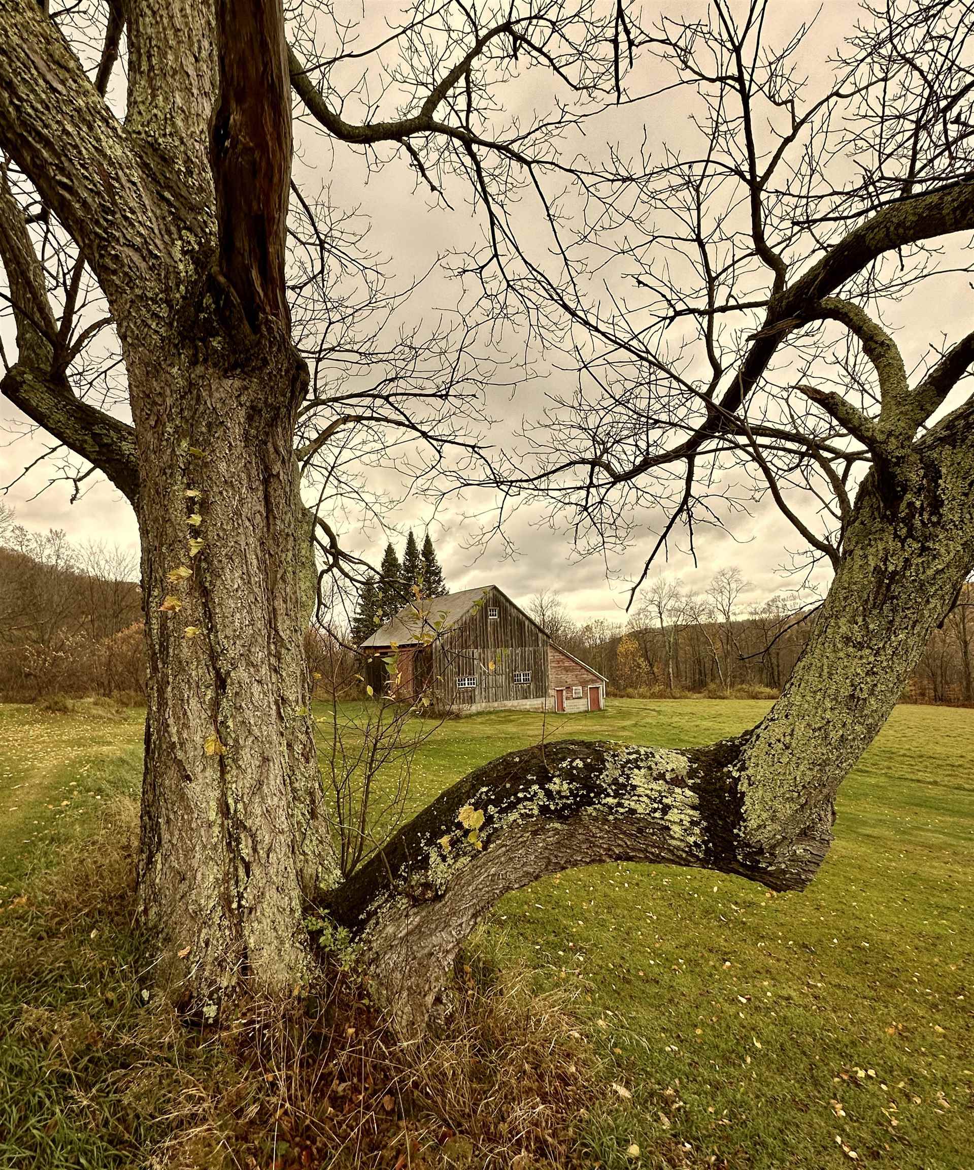 130 Clark Road Rupert, VT 05776 - Photo 55 of 56