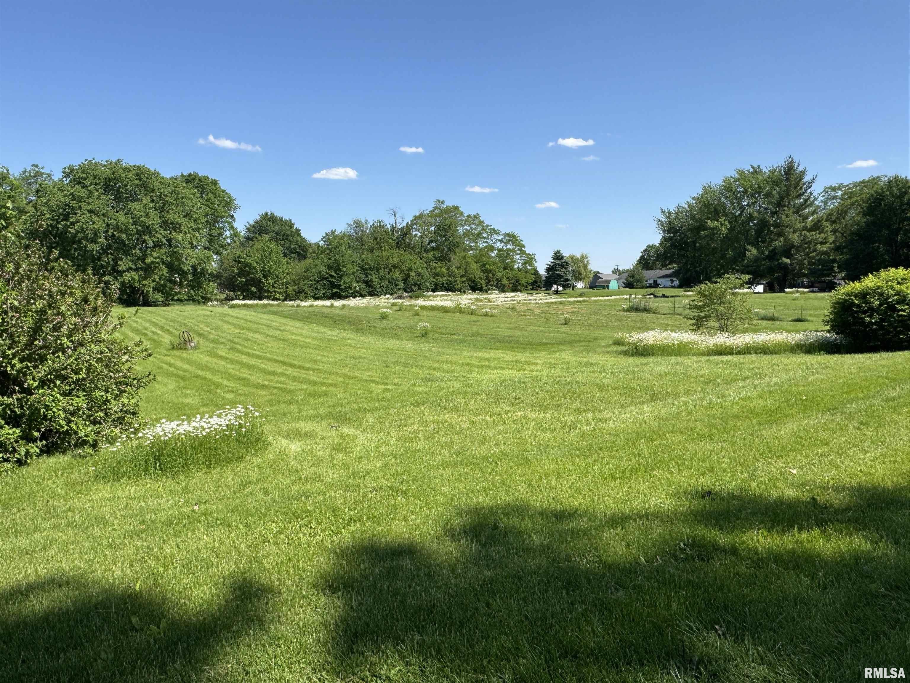 0 Elm Street Andover, IL 61233 - Photo 2 of 4