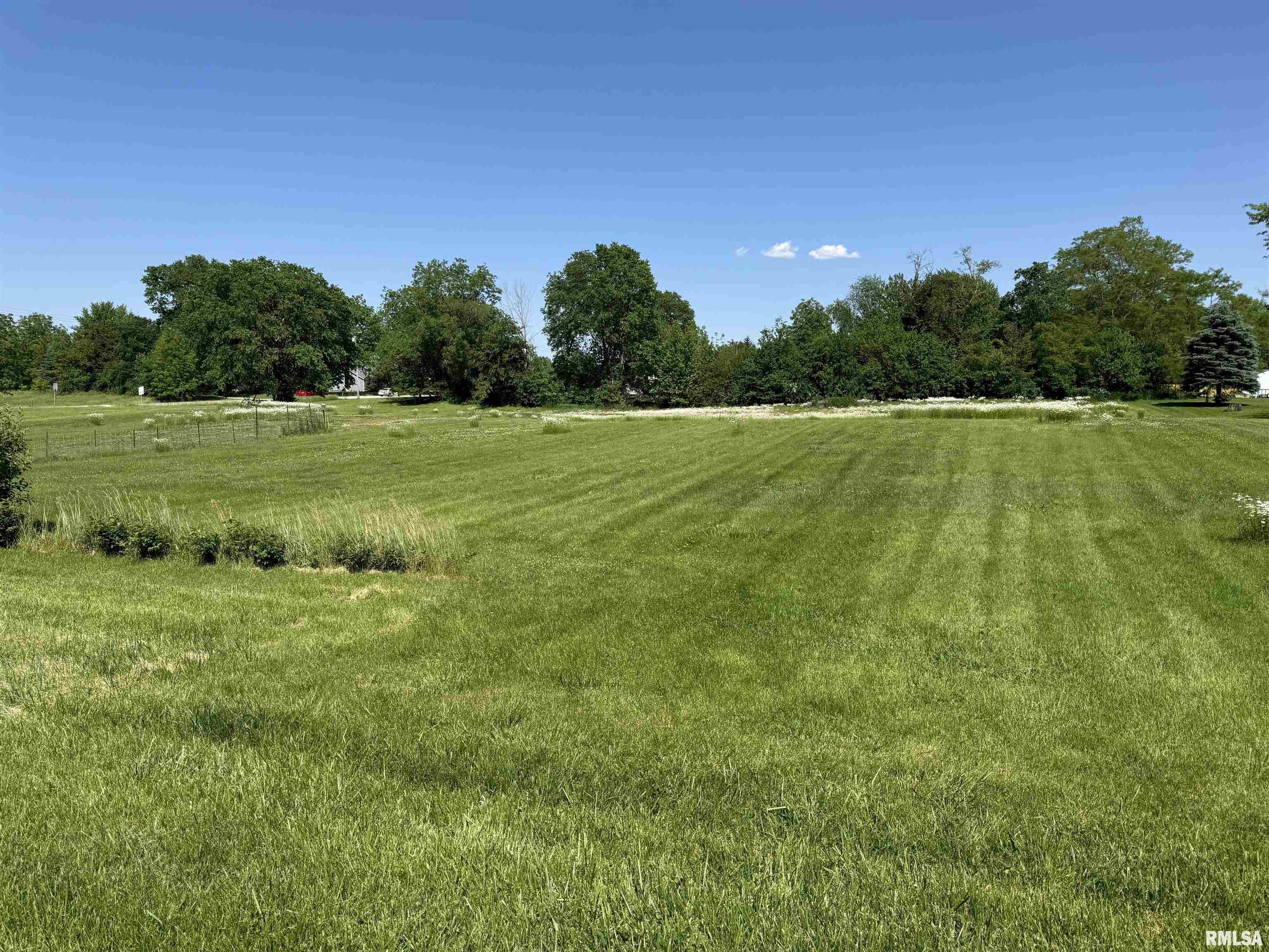 0 Elm Street Andover, IL 61233 - Photo 3 of 4