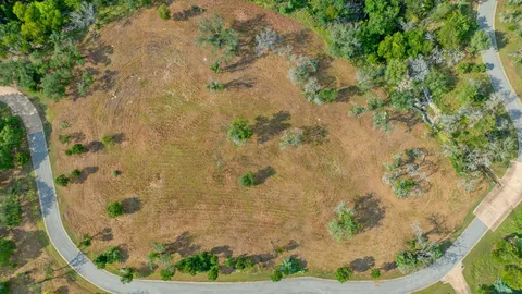 a view of a plant in a garden