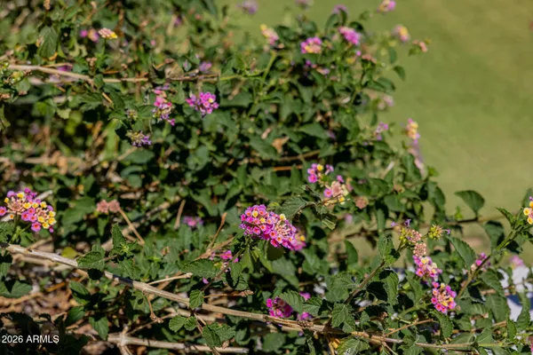 $3,950,000 | 2131 East Bethany Home Road, Phoenix, AZ 85016