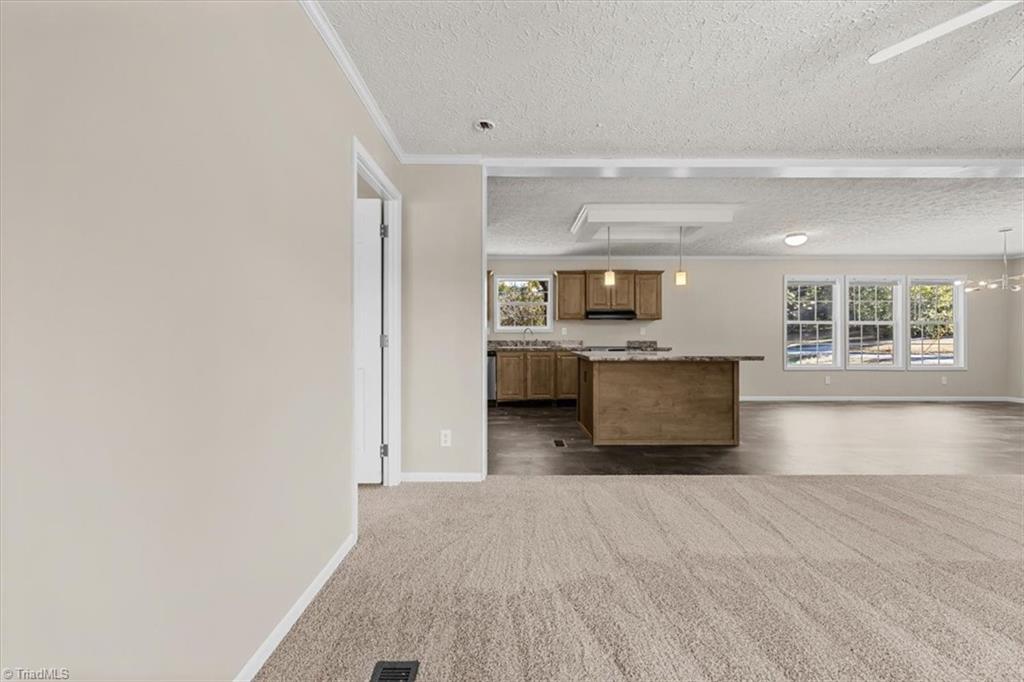 545 Coleridge Road Ramseur, NC 27316 - Photo 8 of 22