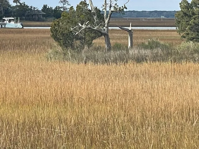 $3,250,000 | 10 Waterway Island Drive, Isle of Palms, SC 29451