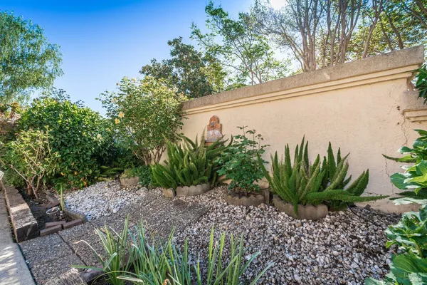 a view of a backyard with plants and a large tree
