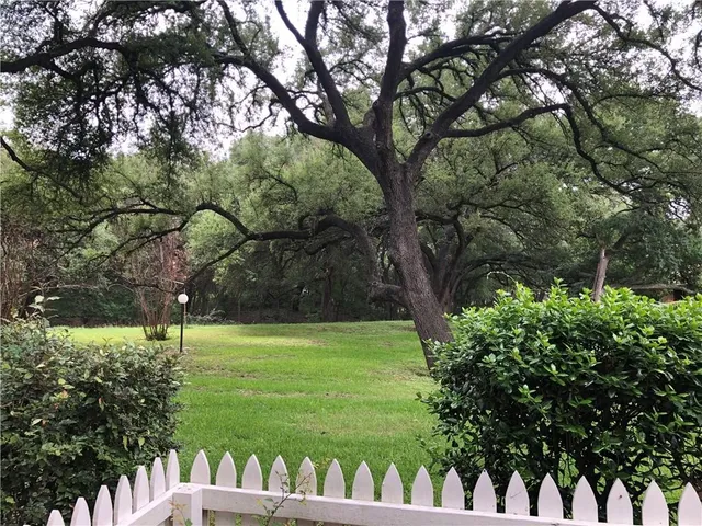 a view of a park with large trees