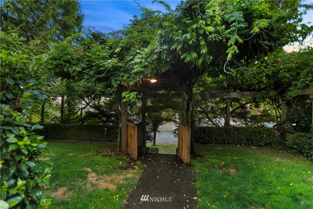 1625 27th Avenue Seattle, WA 98122 - Photo 32 of 40 a view of a yard with plants and a large tree