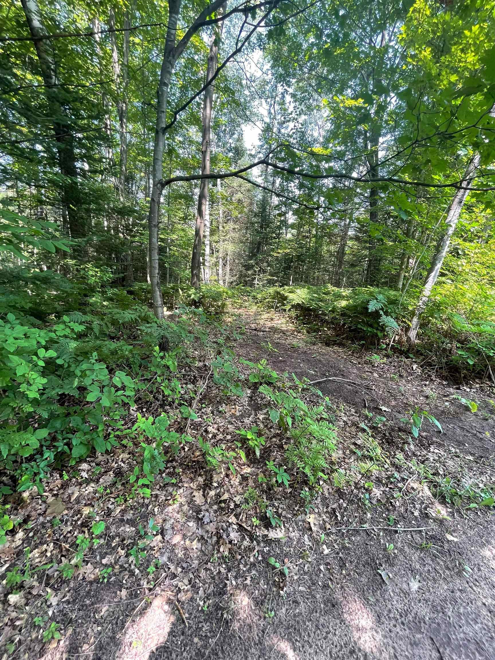 2382 Bass Lake Road Lupton, MI 48635 - Photo 41 of 50