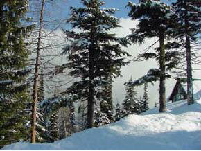 0 Mogul Hill Road Sandpoint, ID 83864 - Photo 5 of 9