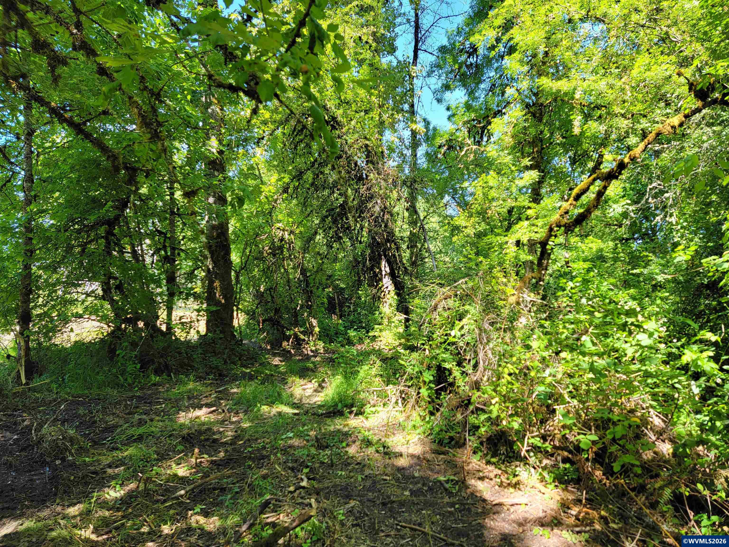 0 Oak Grove Albany, OR 97321 - Photo 11 of 30