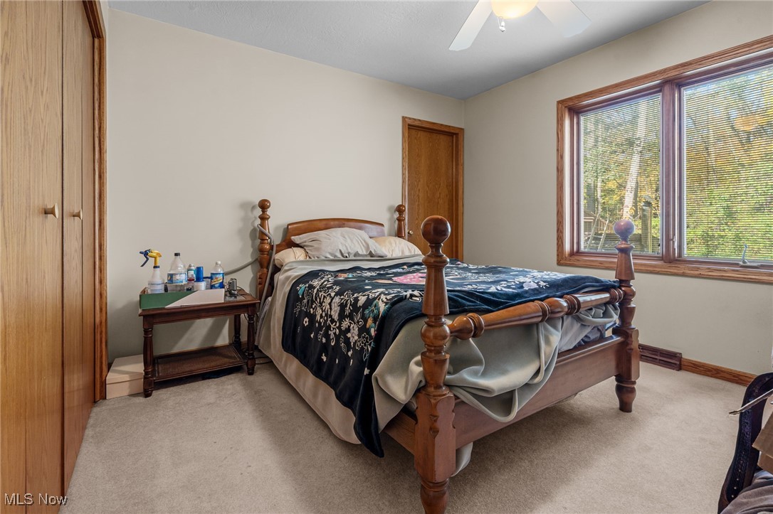 9250 Daniels Road Seville, OH 44273 - Photo 15 of 24 Bedroom with light carpet, a ceiling fan, and a closet