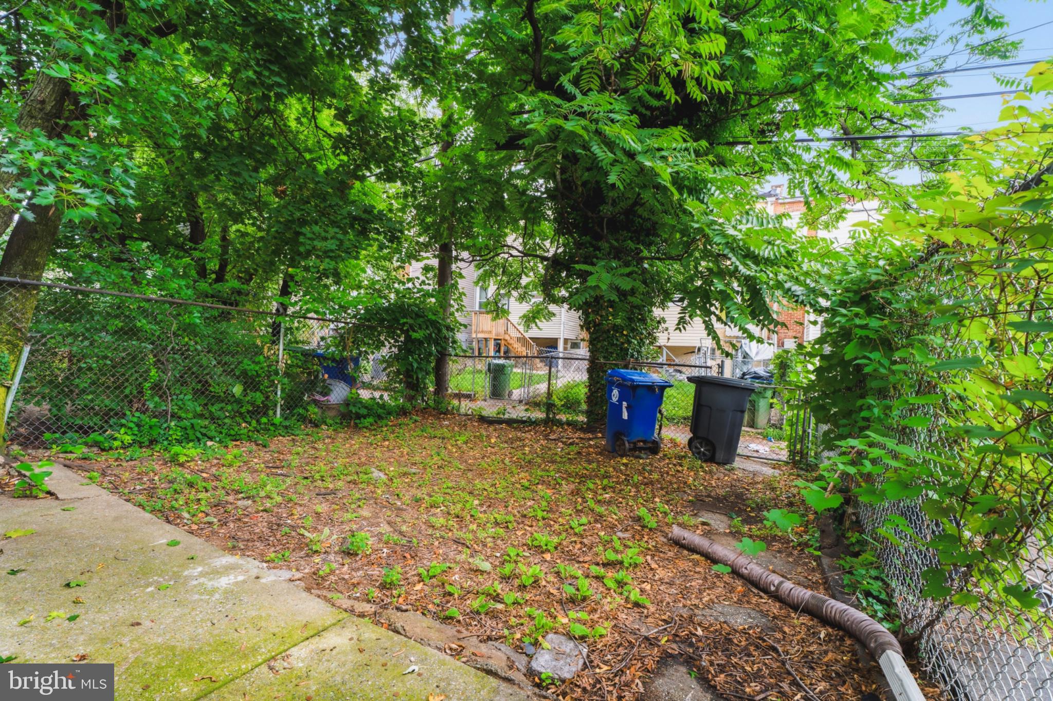 730 Linnard Street Baltimore, MD 21229 - Photo 31 of 31 Backyard
