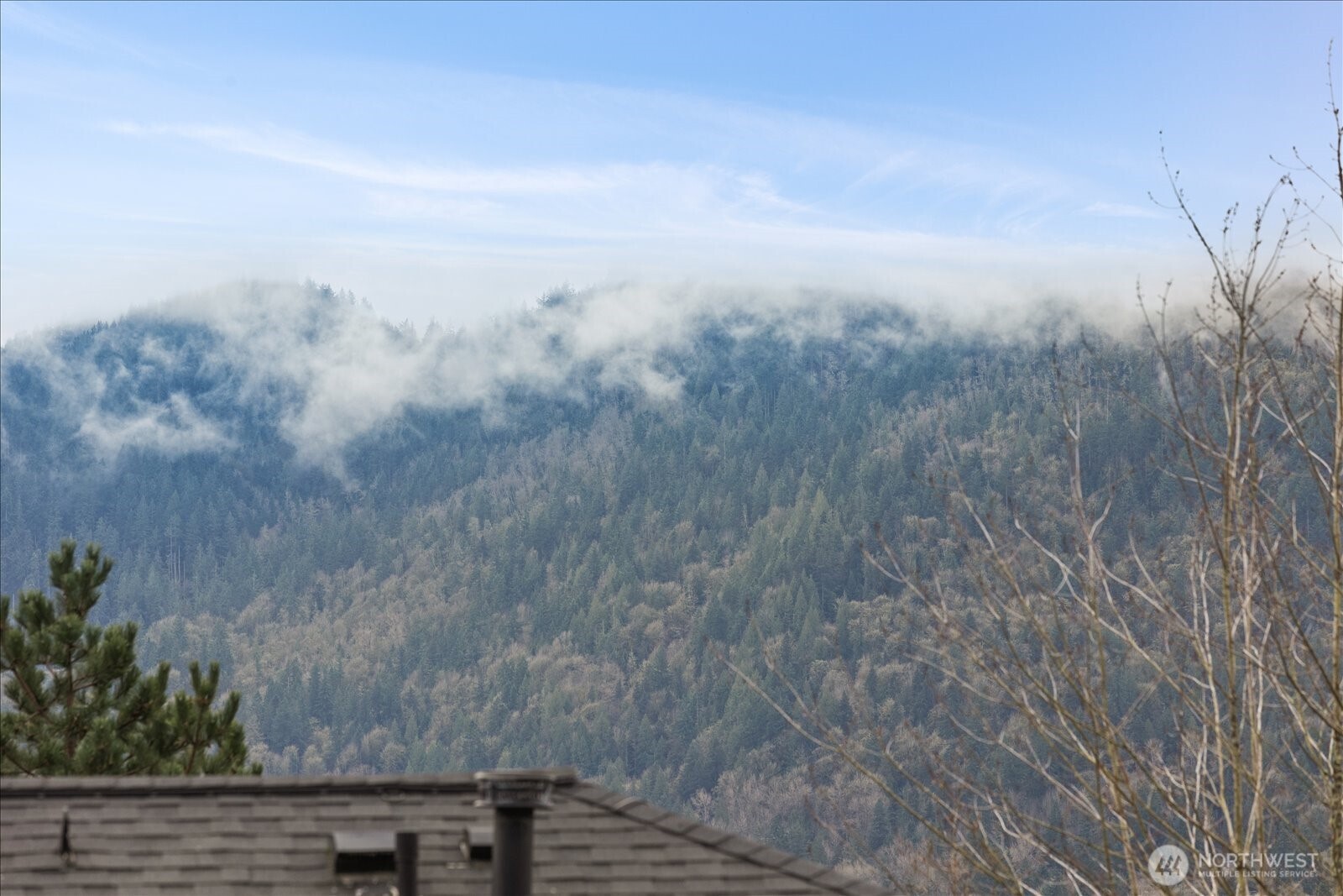 23300 Southeast Black Nugget Road, Unit D3 Issaquah, WA 98029 - Photo 34 of 35 a view of a dry yard with wooden fence