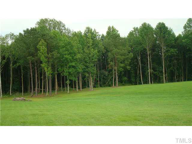 Old Fairground Road Willow Spring, NC 27592 - Photo 2 of 3 Photo 2