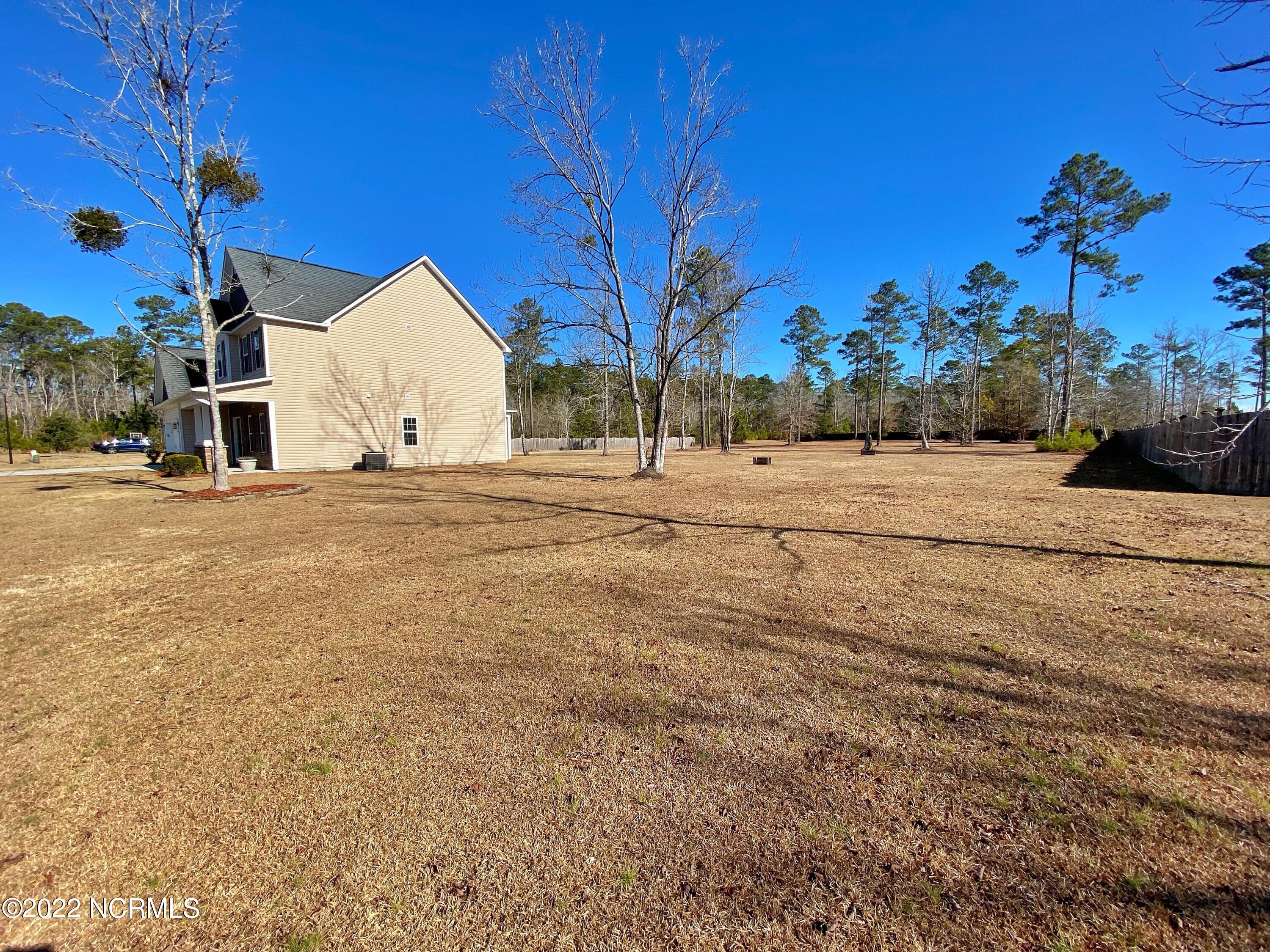 124 Peytons Ridge Drive Hubert, NC 28539 - Photo 41 of 49 Backyard (2)
