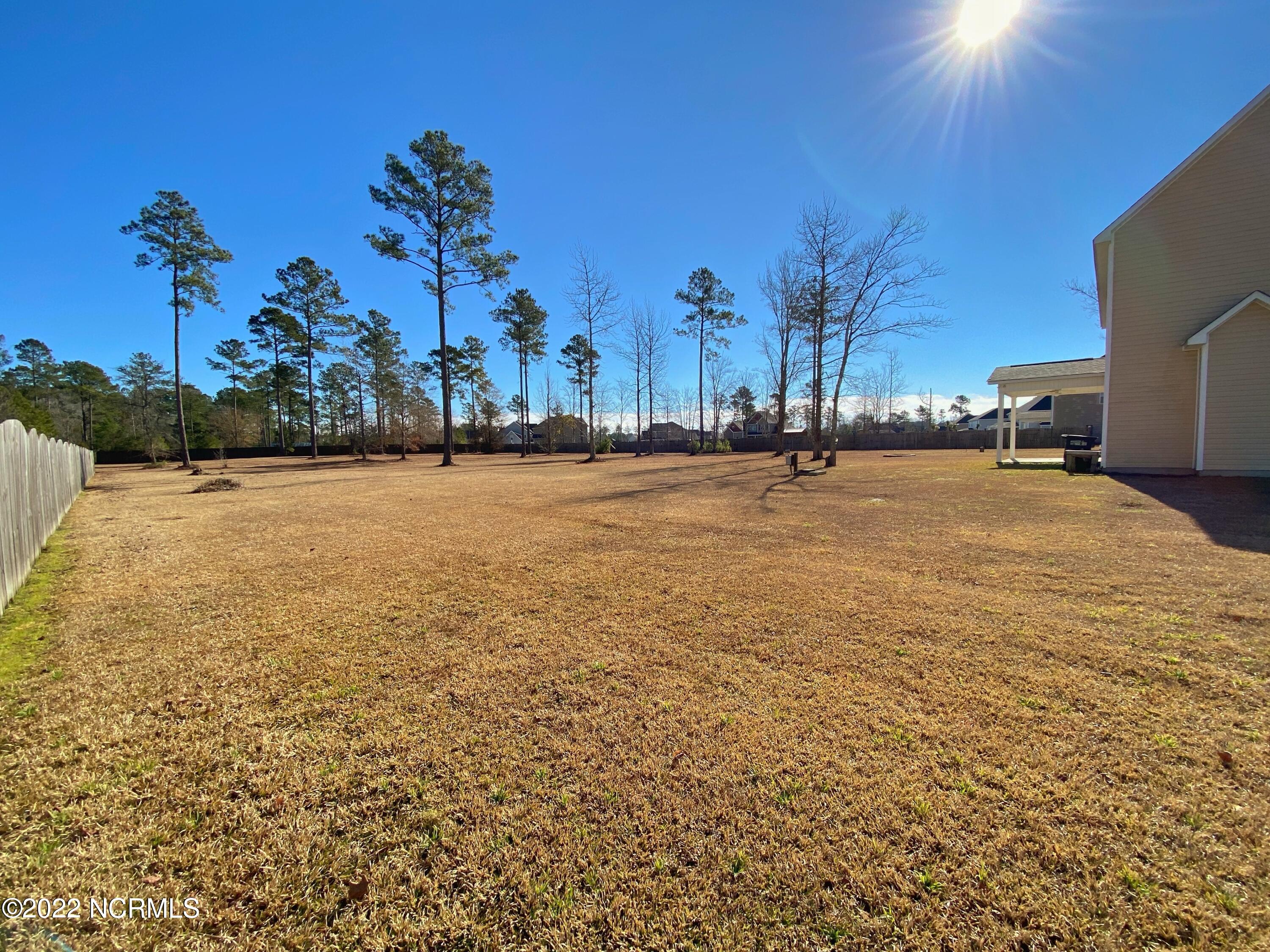 124 Peytons Ridge Drive Hubert, NC 28539 - Photo 43 of 49 Backyard (3)