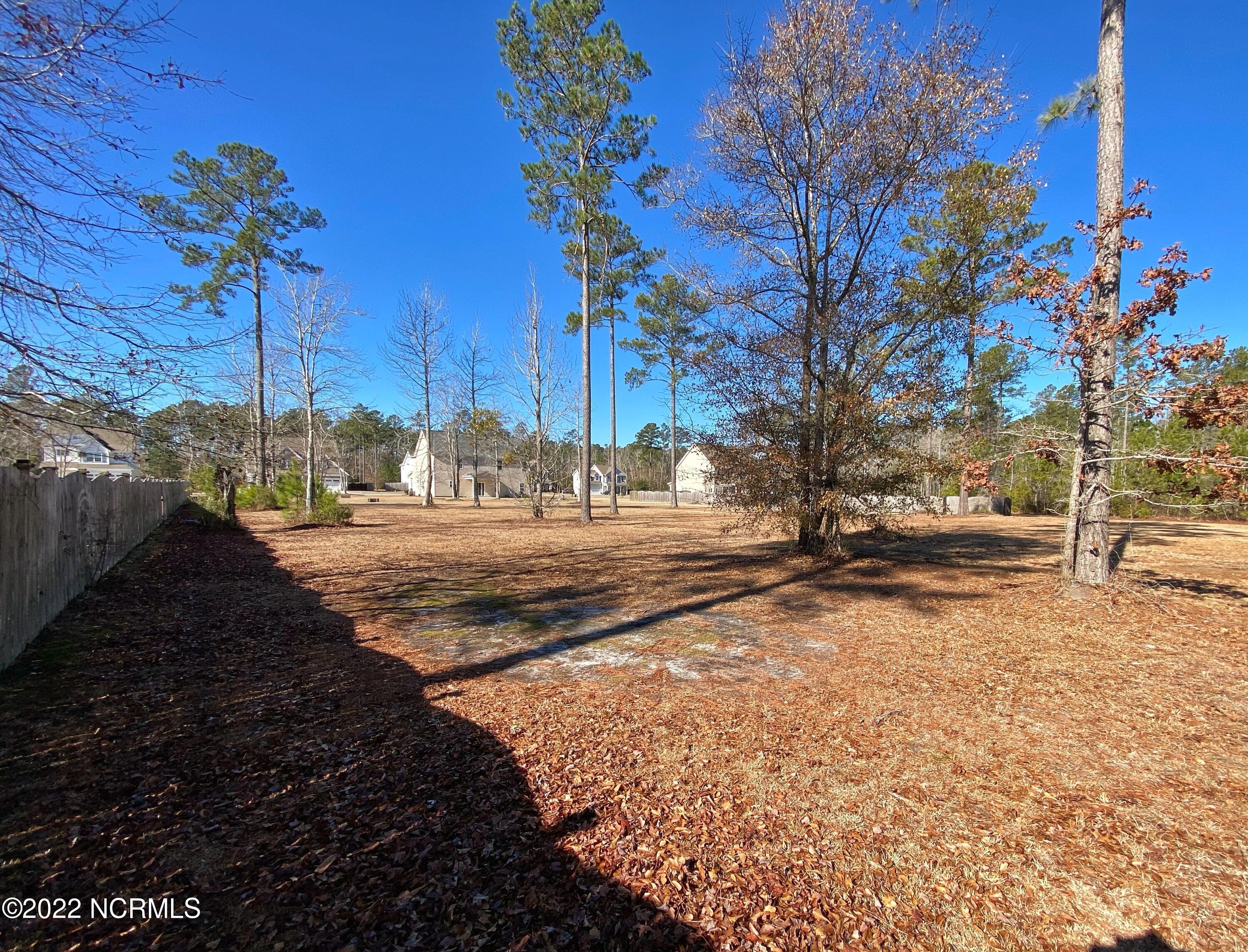 124 Peytons Ridge Drive Hubert, NC 28539 - Photo 47 of 49 Backyard (1)