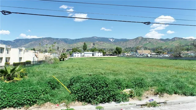a view of a big yard with potted plants