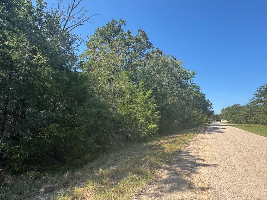 3 South Berry Ridge Caldwell, TX 77836 - Photo 11 of 19 a view of a yard with a tree