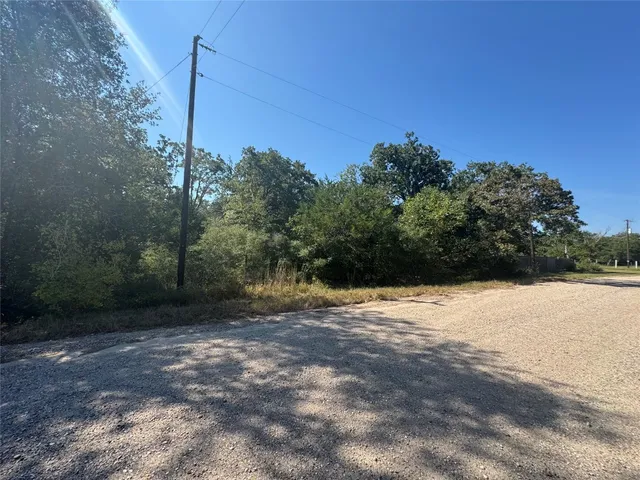 a view of a forest with trees in the background