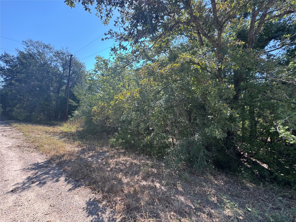 3 South Berry Ridge Caldwell, TX 77836 - Photo 15 of 19 a view of a forest with trees in the background