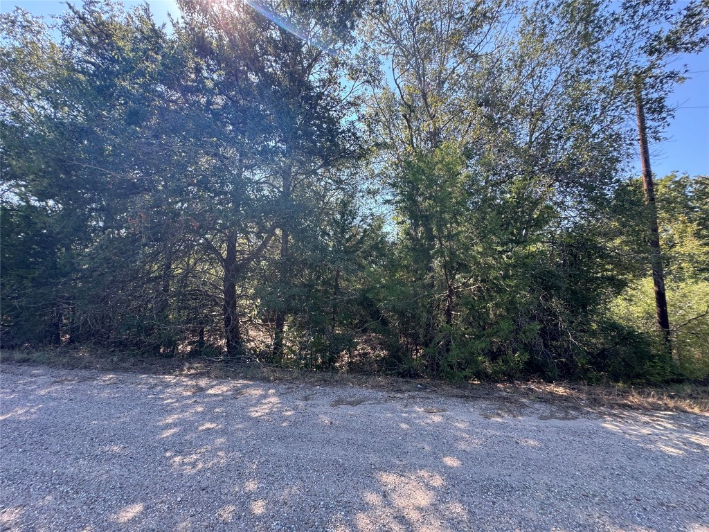 3 South Berry Ridge Caldwell, TX 77836 - Photo 19 of 19 a view of a forest with trees in the background