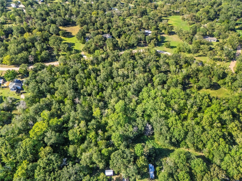 3 South Berry Ridge Caldwell, TX 77836 - Photo 6 of 19 a view of a lush green forest with a tree