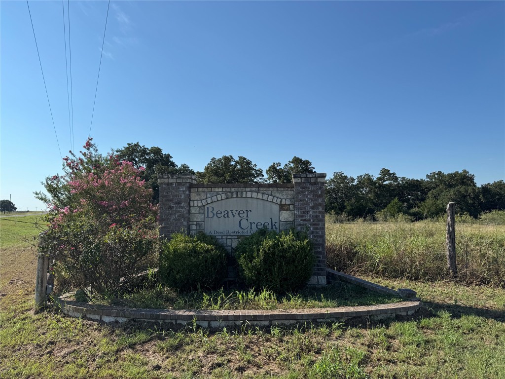 3 South Berry Ridge Caldwell, TX 77836 - Photo 8 of 19 a view of a back yard