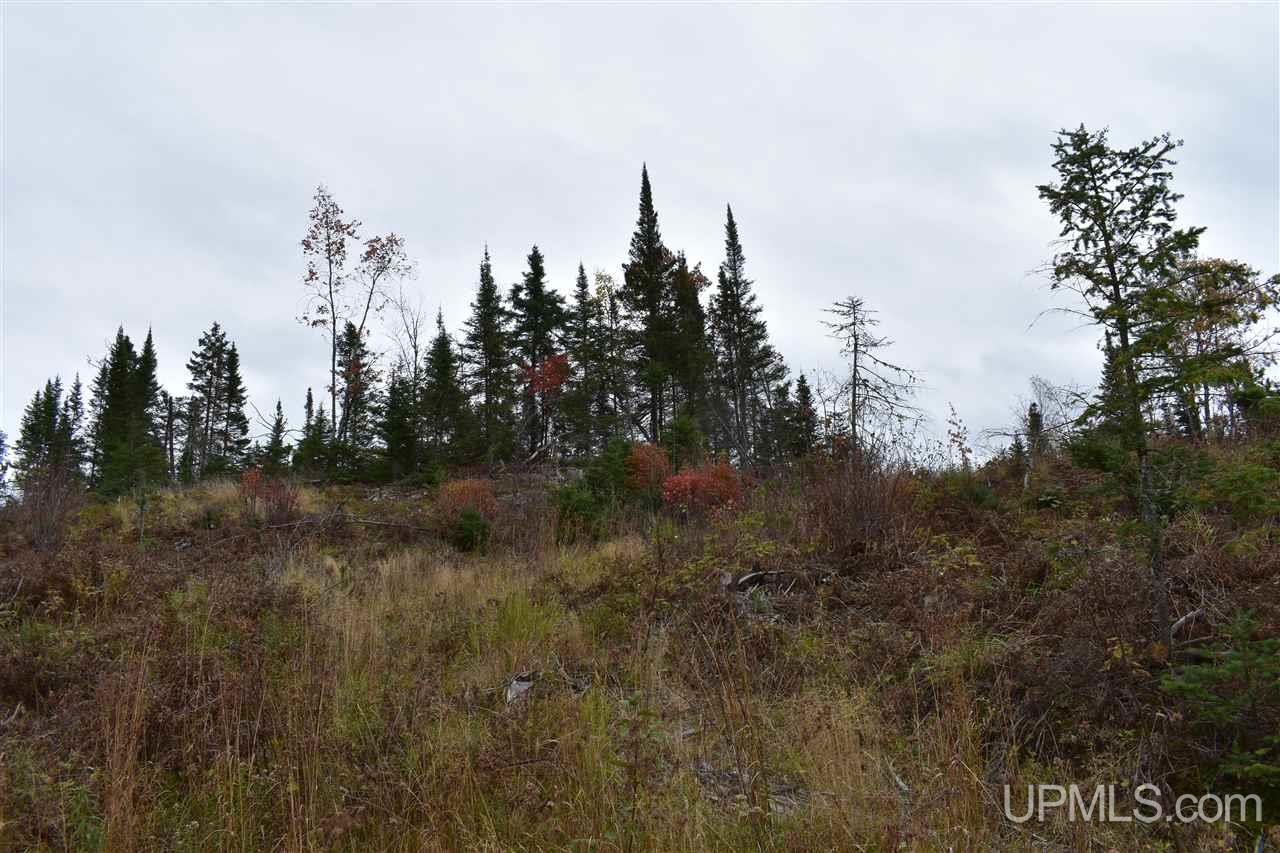40-acres 40-acres Off Co Road Gwinn, MI 49841 - Photo 11 of 22
