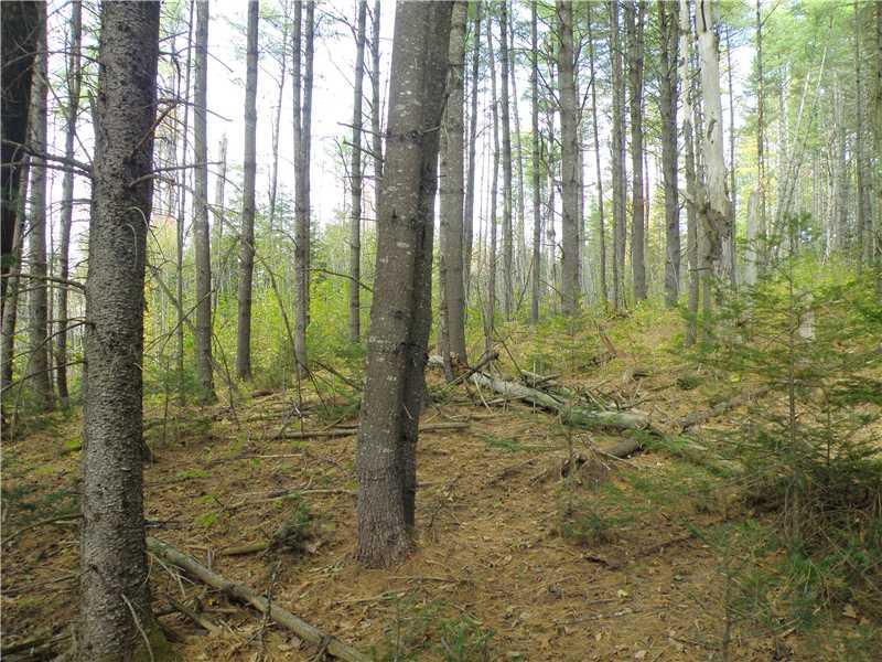 Lot 65 Ramsdell Ridge Road Milo, ME 04463 - Photo 12 of 17 Land/Lot. Front corner near the road