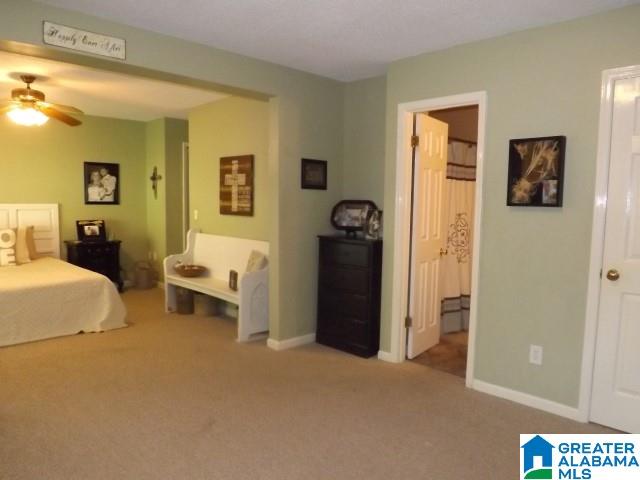 812 Sunshine Avenue Oneonta, AL 35121 - Photo 33 of 47