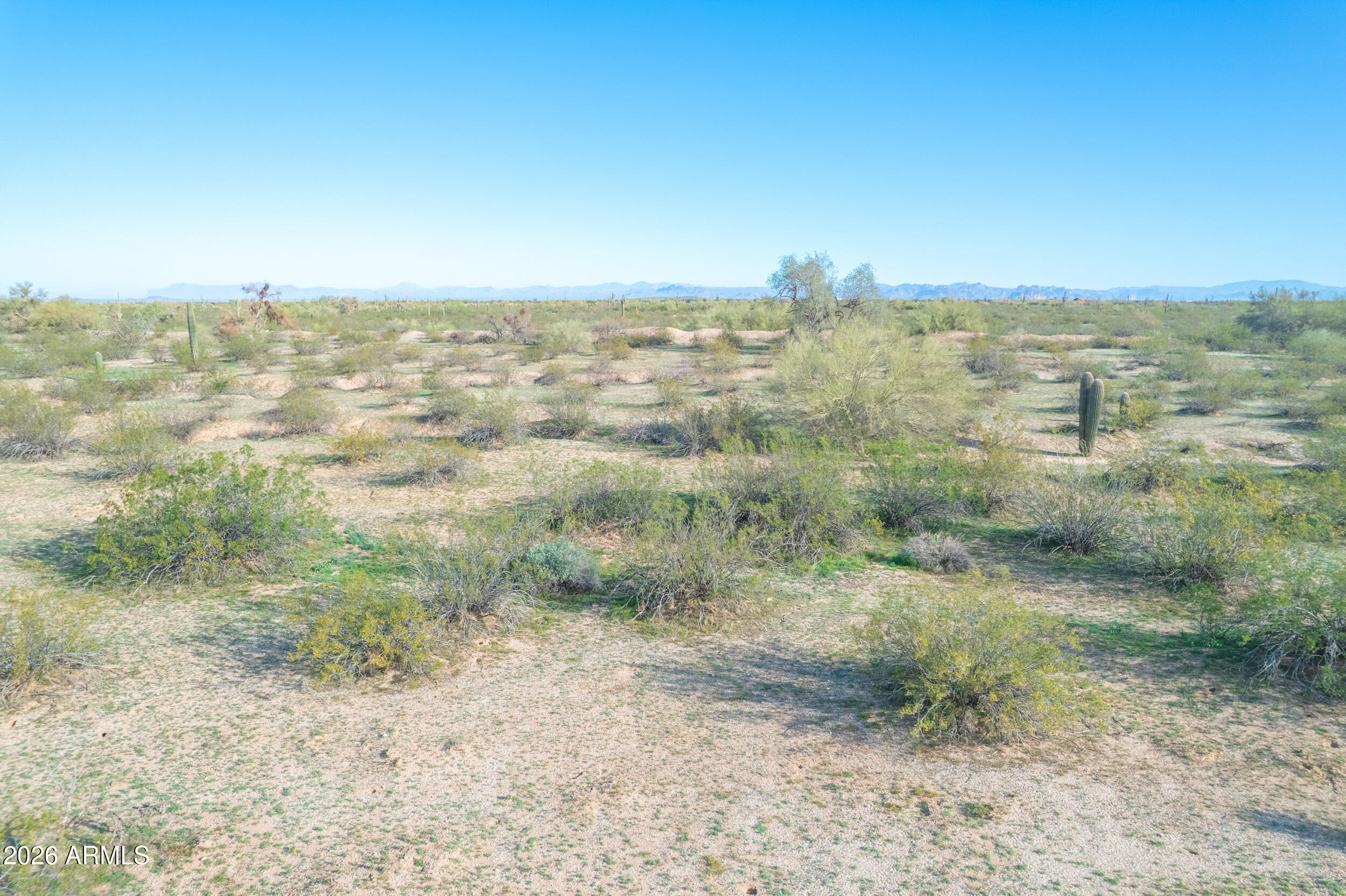 1850 East Cactus Forest Road Florence, AZ 85132 - Photo 8 of 36 a view of a big yard with lots of trees