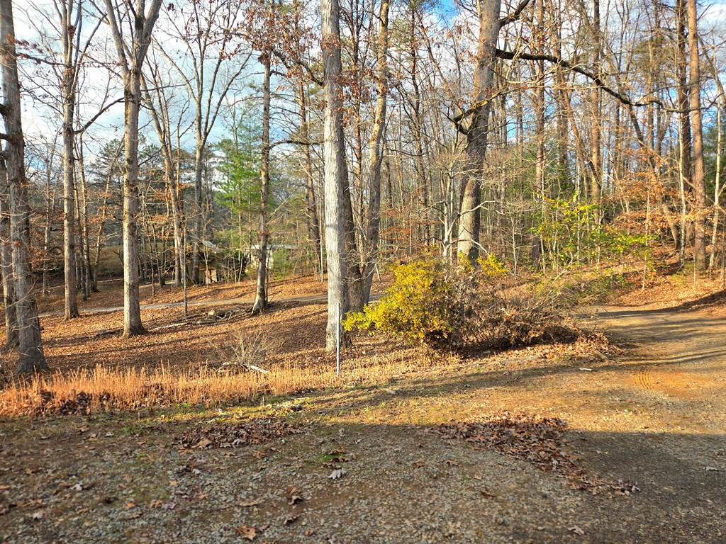 196 Johnson Ridge Andrews, NC 28901 - Photo 11 of 16