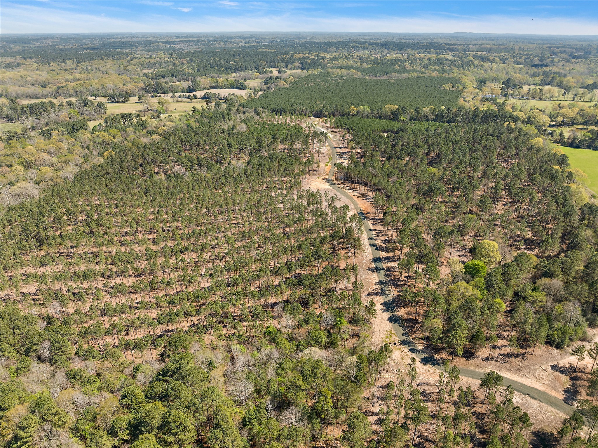 219 Piney Creek Estates Road Timpson, TX 75975 - Photo 2 of 4