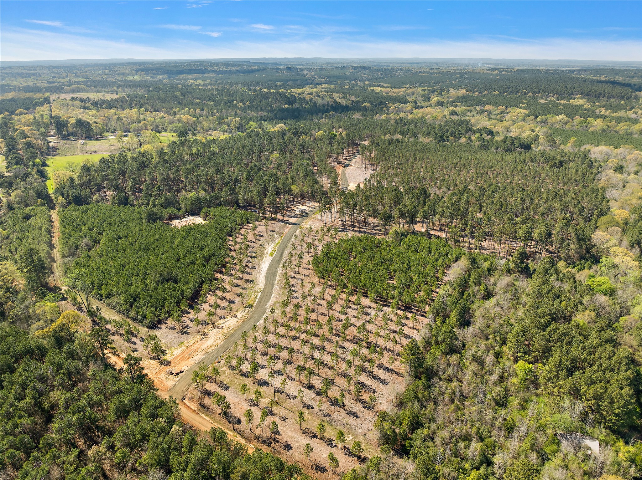 219 Piney Creek Estates Road Timpson, TX 75975 - Photo 3 of 4