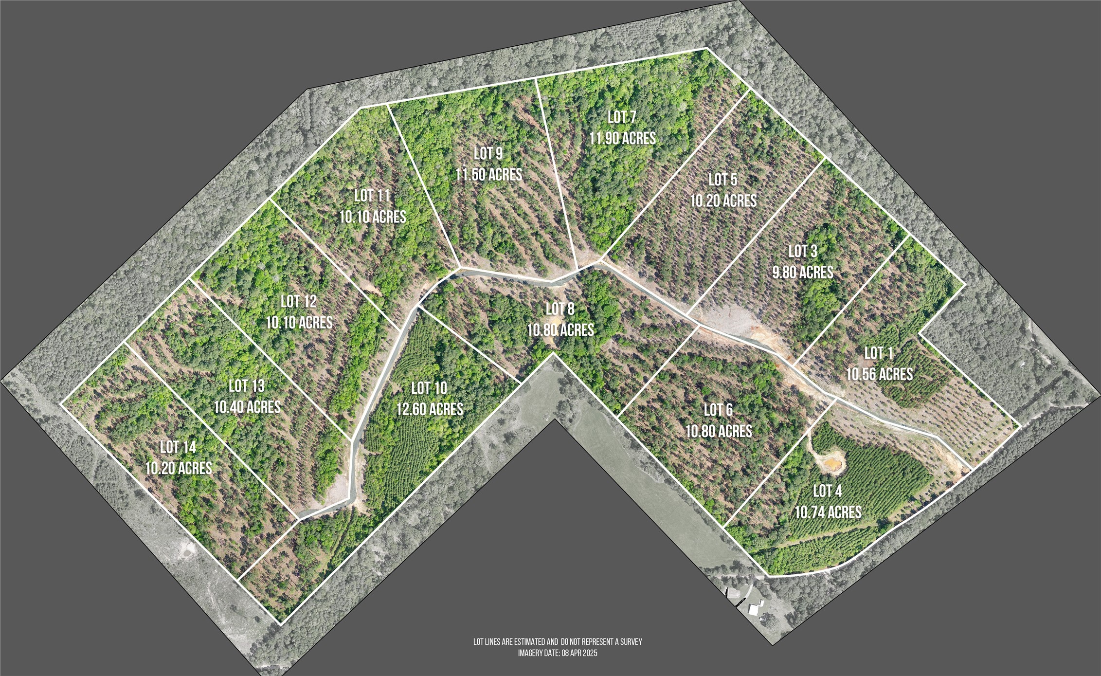 219 Piney Creek Estates Road Timpson, TX 75975 - Photo 4 of 4