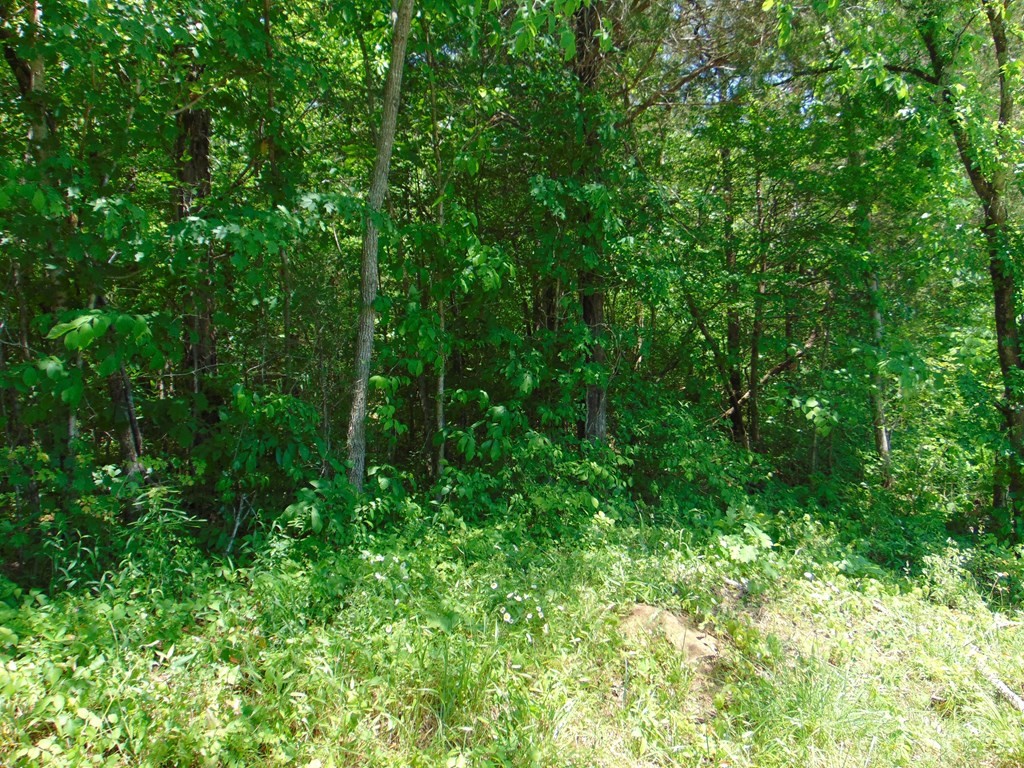 468 Co Road Englewood, TN 37329 - Photo 14 of 33