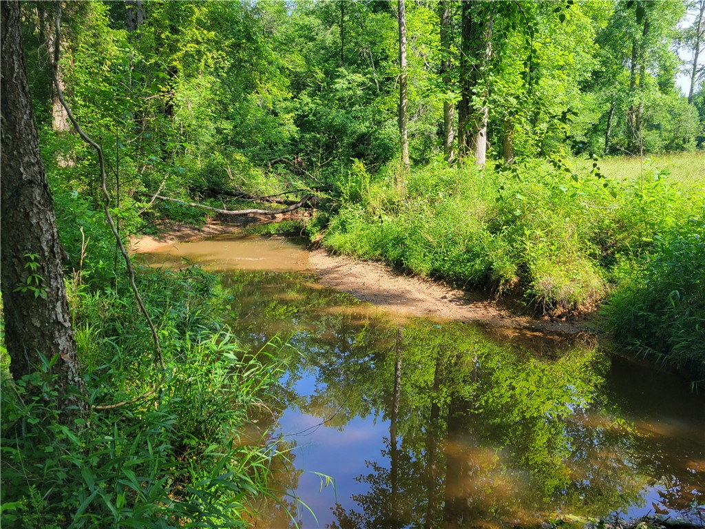 381 West Bryant Road West Union, SC 29696 - Photo 1 of 27