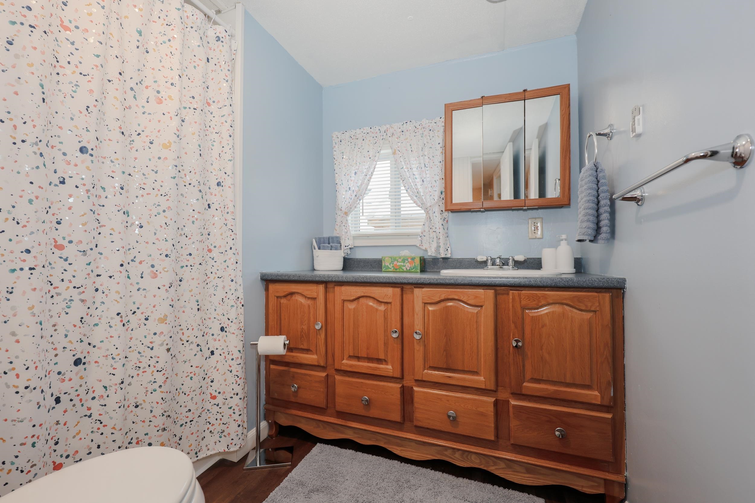 153 Leavitt Road Pittsfield, NH 03263 - Photo 16 of 28