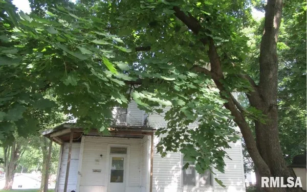 a view of a tree in a yard