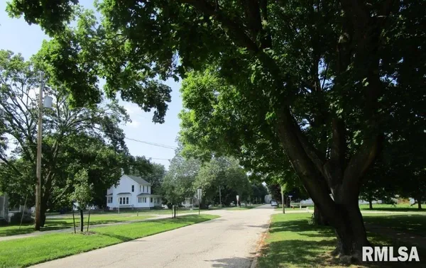 a view of a park with large trees
