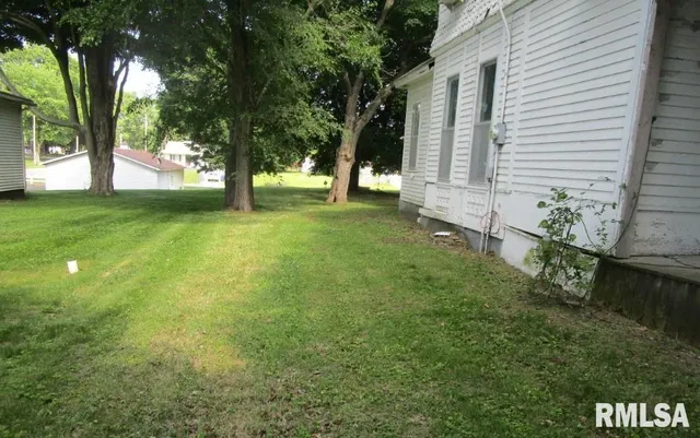 a view of a yard with plants and trees