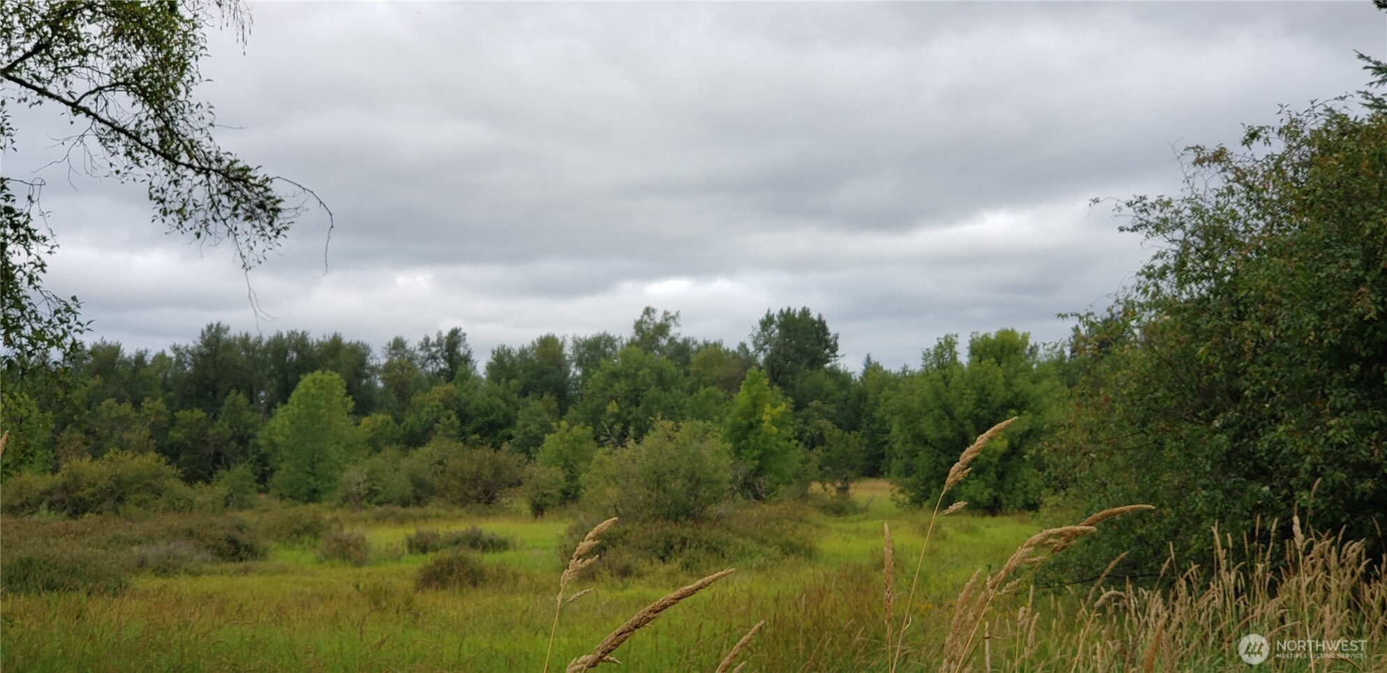 196 Jensen Road Onalaska, WA 98570 - Photo 11 of 37