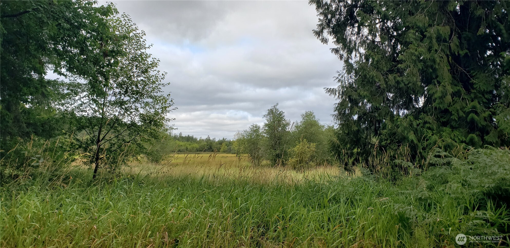 196 Jensen Road Onalaska, WA 98570 - Photo 12 of 37