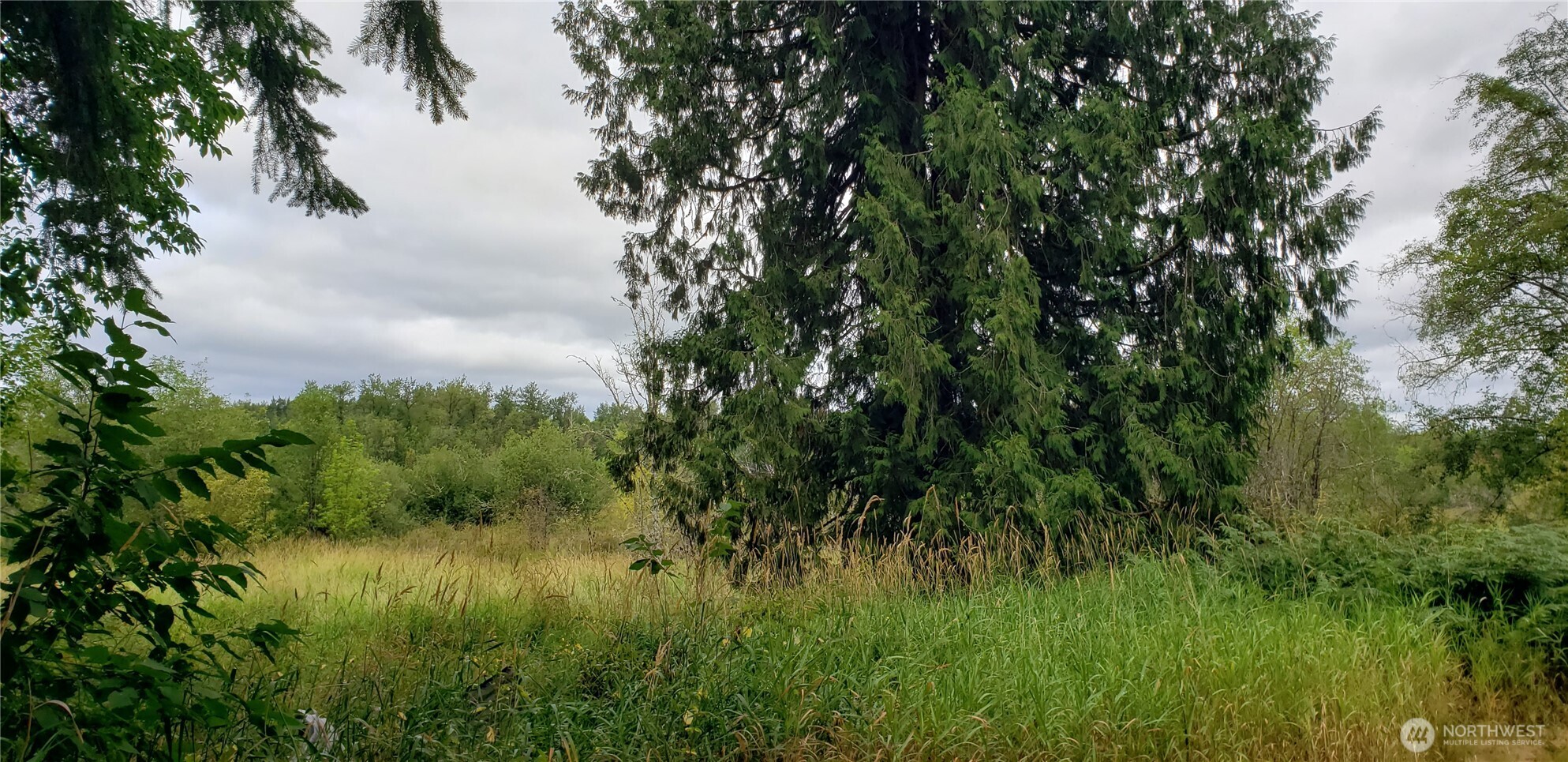 196 Jensen Road Onalaska, WA 98570 - Photo 13 of 37