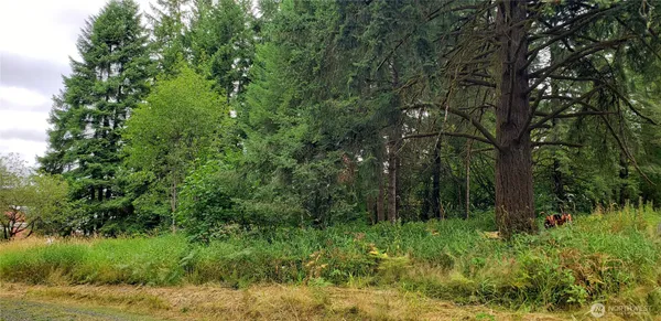 $100,000 | 196 Jensen Road, Onalaska, WA 98570