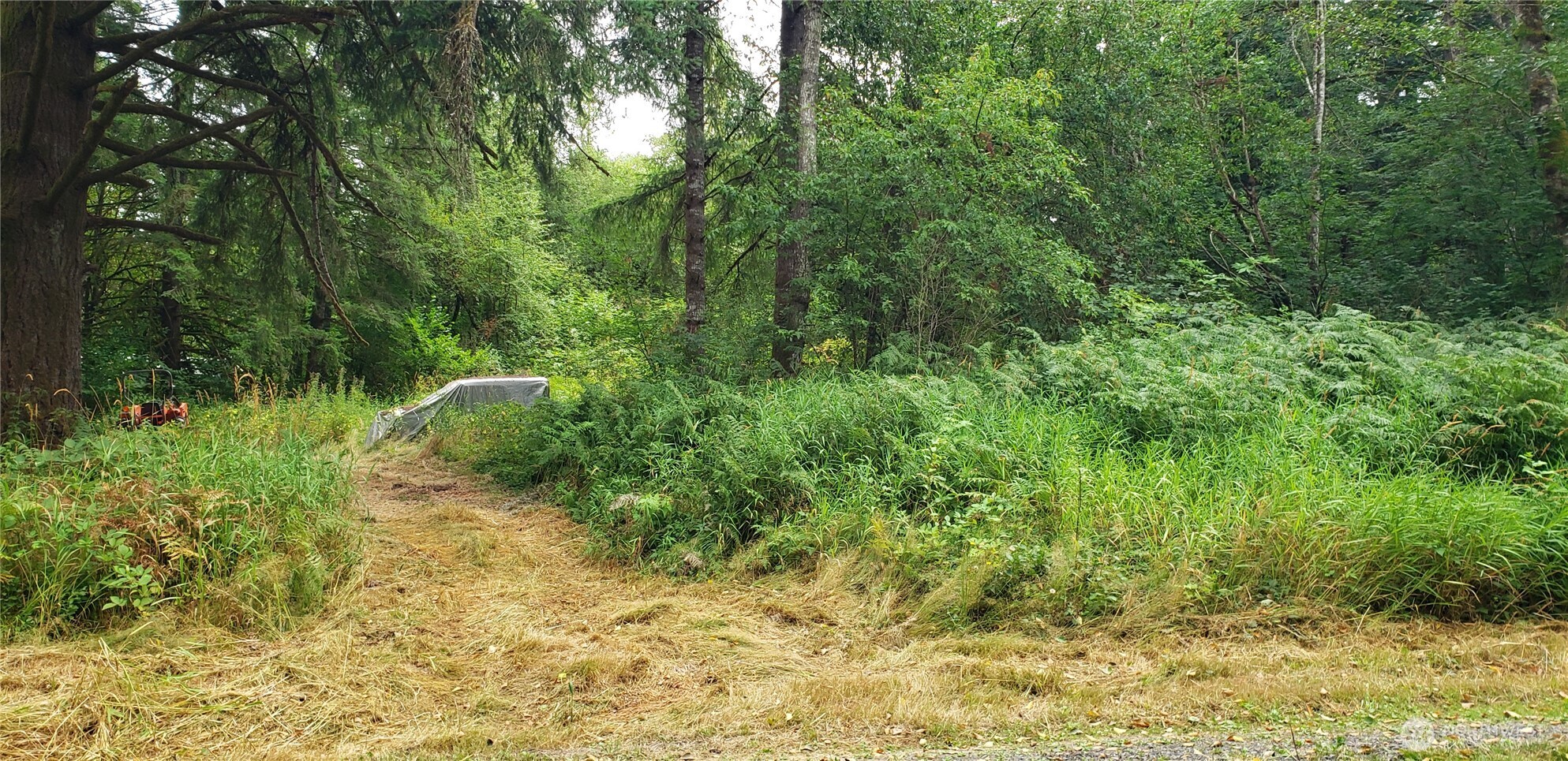 196 Jensen Road Onalaska, WA 98570 - Photo 15 of 37