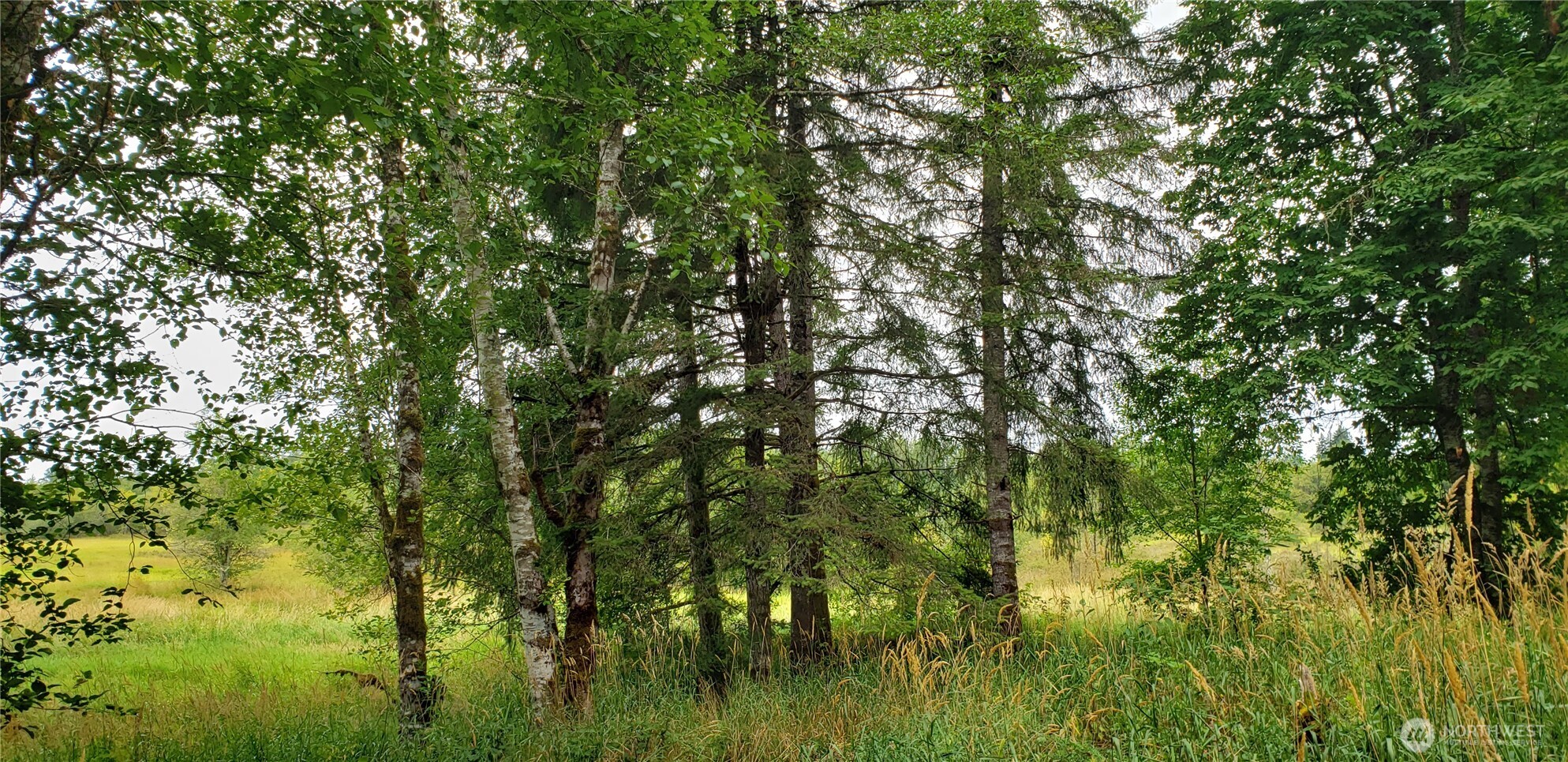 196 Jensen Road Onalaska, WA 98570 - Photo 16 of 37