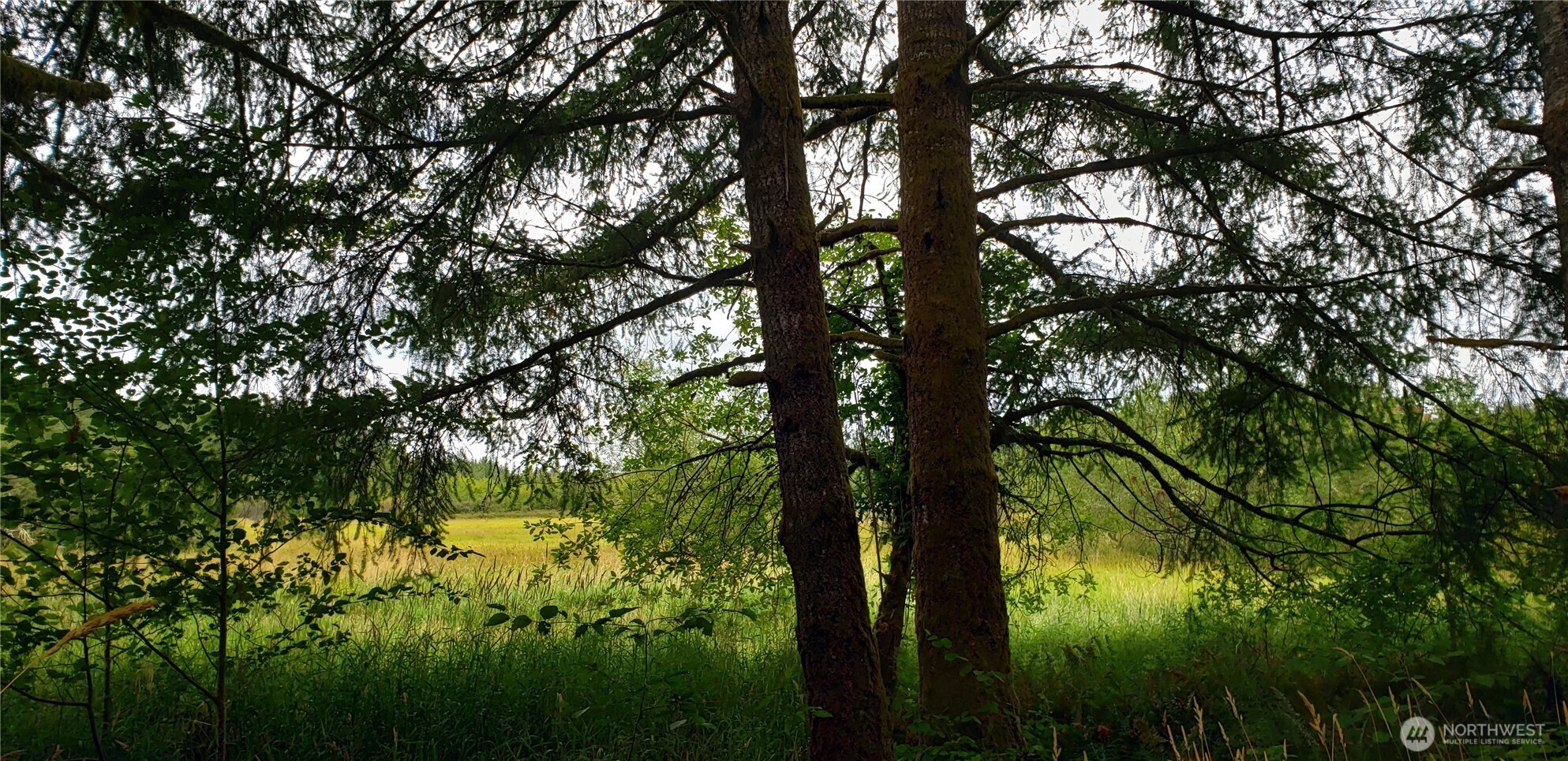 196 Jensen Road Onalaska, WA 98570 - Photo 17 of 37