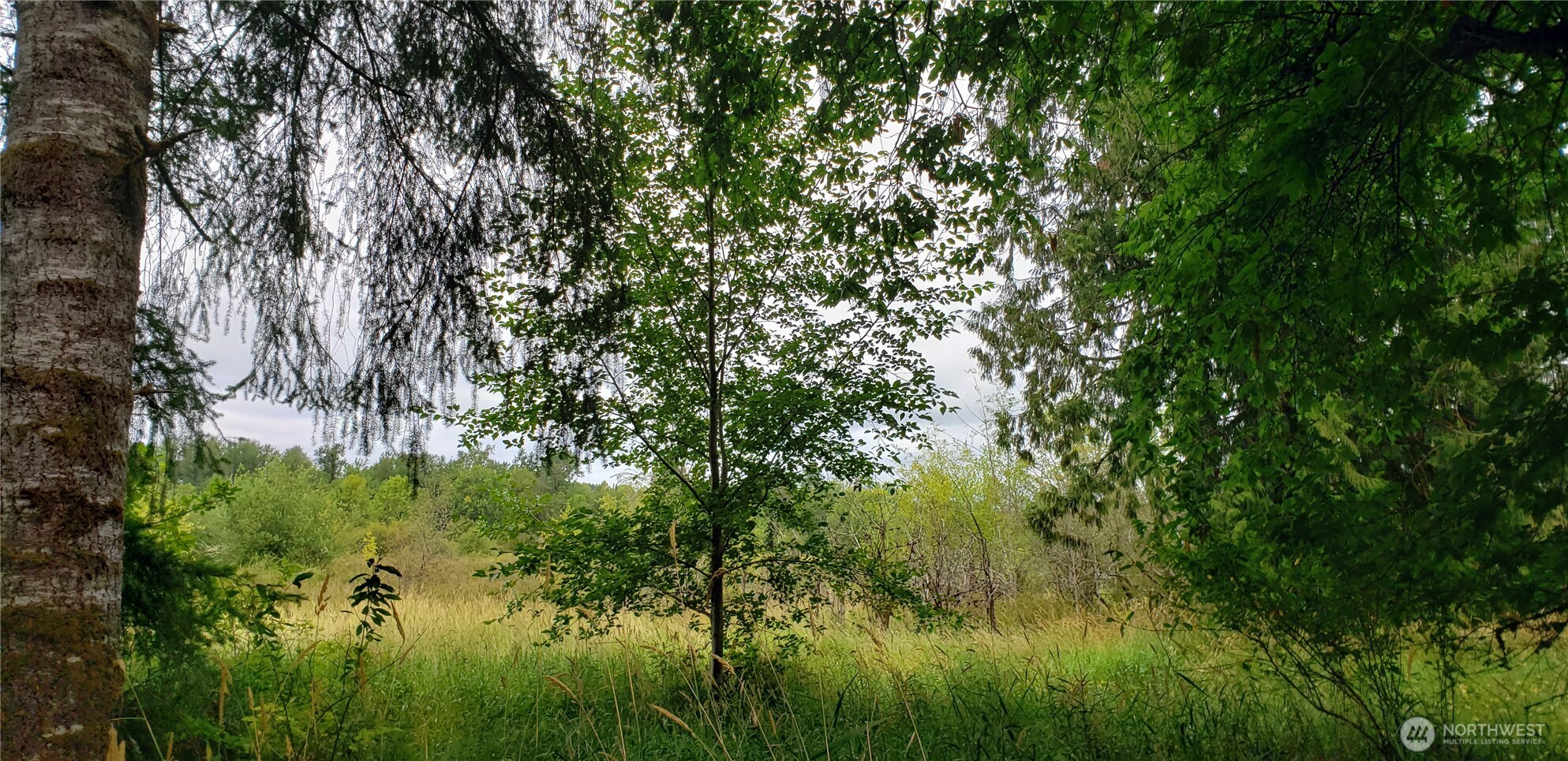 196 Jensen Road Onalaska, WA 98570 - Photo 18 of 37